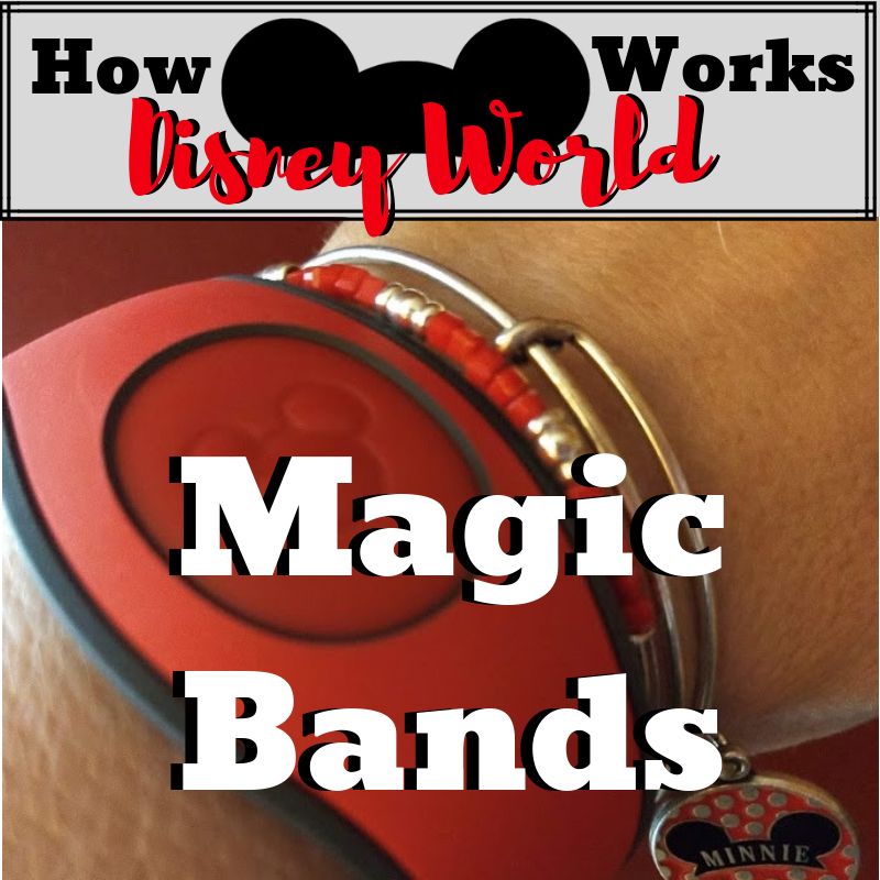 How Magic Bands Work - Dustless Pixie | How Disney World Works